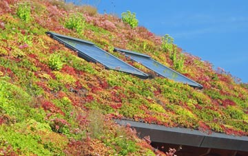 Moor Allerton living roof systems